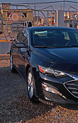 شيفروليه ماليبو